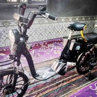 دراجة شحن • مقاس ٢٠ • مكان رفاعي