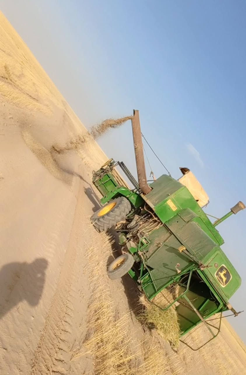 سلام عليكم دراسه جوندير مديل 80 ....رقم نينوى للستفسا ر ***********
