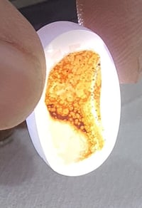 يمانية مصورة • تحفة • توصيل