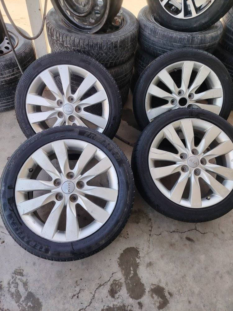 تخم ويل كب فورتي سيراتو اصلي شركة حجم ١٧ بيع أو مراوس العنوان بغداد الشعلة ***********
***********
