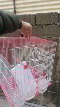 قفص • جديد • حي التحرير