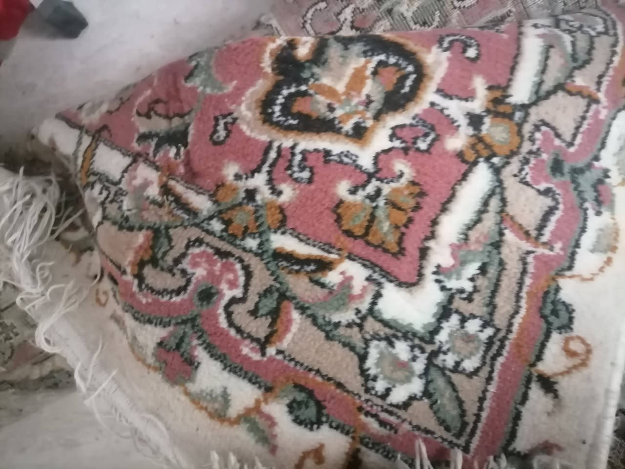 زوالي وكاربتات للبيع اي استفسار اجاوب خاص وعام العنوان اربيل مقابيل فرمان  قريب جسر بنصلاوه


**إذا كنت صاحب هذا الإعلان وتريد حذفه لأي سبب، رجاءا أرسل رسالة إلى الدعم الفني**