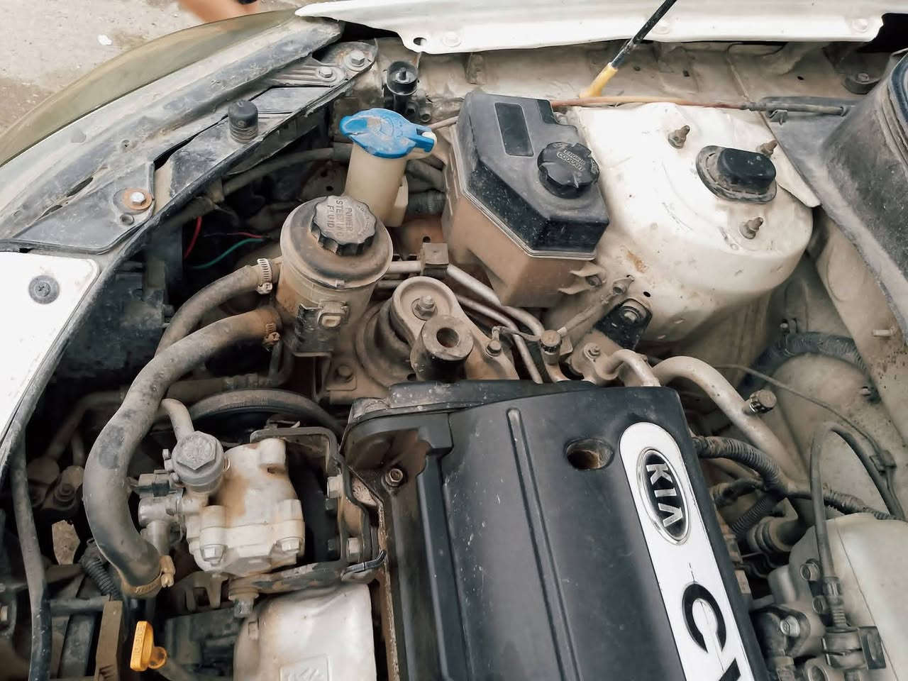 السلام عليكم وحياكم مكتب المدين وياكم 👋
بيع او معارض بالنترا تكسي فقط
ريو ٢٠٠٩ امريكي 
رقم نينوى الماني كوبون بنزين سنوية جديدة تشتري من الشرعي 
محرك ١٦  بي صرف
كير توماتيك جامات كهرب تبريد شغال 
جاملغ مبدل وربع بوند بيها وراس المسطرة ورا اللايت هم بيها 
السعر ٨٥ وبيها مجال 

قفل ماكو بالتلفون تعال شوف واقتنع.
🔴 اوقات العمل  من الساعه العاشرة صباحا الى الساعه العاشرة مساءا 
  
🔴 غير متواجد على الفيس والماسنجر 

العنوان :- مكتب المدين لبيع وشراء السيارات الموصل موصل الجديدة شارع بغداد مقابل جامع الاغوات قرب مجسر المشاة 
 
الاتصال ع الارقام 
***********
***********
