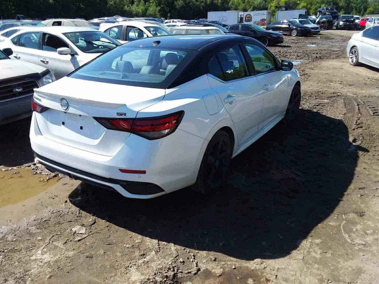 Nissan Sentra 2024 SR Plus  ( Clean Title)
Whatsapp ***********

نيسان سنترا SR Plus كلين تايتل ( استيراد شخصي) 

اللون المرغوب ابيض سقف اسود موديل 2024

الشكل الجديد (رقم اربيل)

تو كلار ( سقف اسود)

ماشيه 50 الف کیلومتر

بصمه عدد 2

المواصفات.

♦️سلايد روف(فتحه)

♦️تشغيل عن بعد 

♦️تشغيل بصمه

♦️اشاره بالمريه جانبيه

♦️كامره اماميه

♦️تدفئه استيرن

♦️تدفئه كشنات

♦️رادار امامي

♦️تحديد مسار

♦️نقطه عمياء

♦️كيج دجتال

♦️ويل كرم 18 Midnight 

♦️كراسي جلد مطرز احمر 

♦️دشبول مطرز احمر

♦️٤ كاميرات 360 درجه (بيرد فيو)

♦️شاشه كار بلي و اندرويد اوتو

♦️كشن كهرباء 

♦️سماعات BOSE

♦️تبريد مناخين دبل فريزر

♦️حساسات خلفيه

♦️توقف ذاتي

♦️لايت زينون لد اوتو

♦️اوتو ستار ستوب.

♦️مرايا حساس اوتو دم

♦️8 ايرباك

♦️جناج خلفي(بلادي)

♦️دوسات جانبيه(بلادي)

طايرات جديدة ماركة نيكسن

سعر 180$

العنوان / كركوك.
