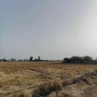 جبله فرع الامام • ٢٥٠م • ٦دونم