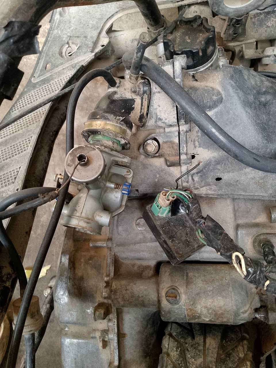 السلام عليكم فراشه تفيد ادوات مابيهه ضفيره ولاشوته وابيع كوم حديد بغداد مدينه الصدرالحميديه السعر65


**إذا كنت صاحب هذا الإعلان وتريد حذفه لأي سبب، رجاءا أرسل رسالة إلى الدعم الفني**