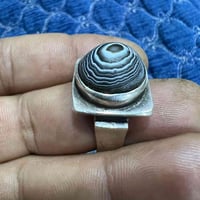 اصليه • يمانيه • قديمه