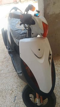 ماكس عدلة • بوشة٥٥ • اوراق