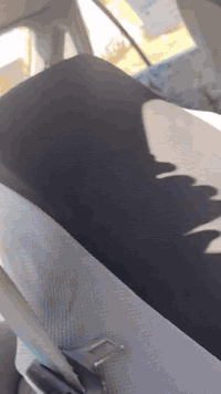 برنس للبيع موديل 94 كير محرك اوتو محرك 2000 سياره جاهزه رقم انكليزي باسمي سنويه لل30 مكانهه بغداد ابوغريب وسعرهه 33 وبيهه مجال بسيط شراي يتصل ***********
