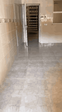 ***********
***********
