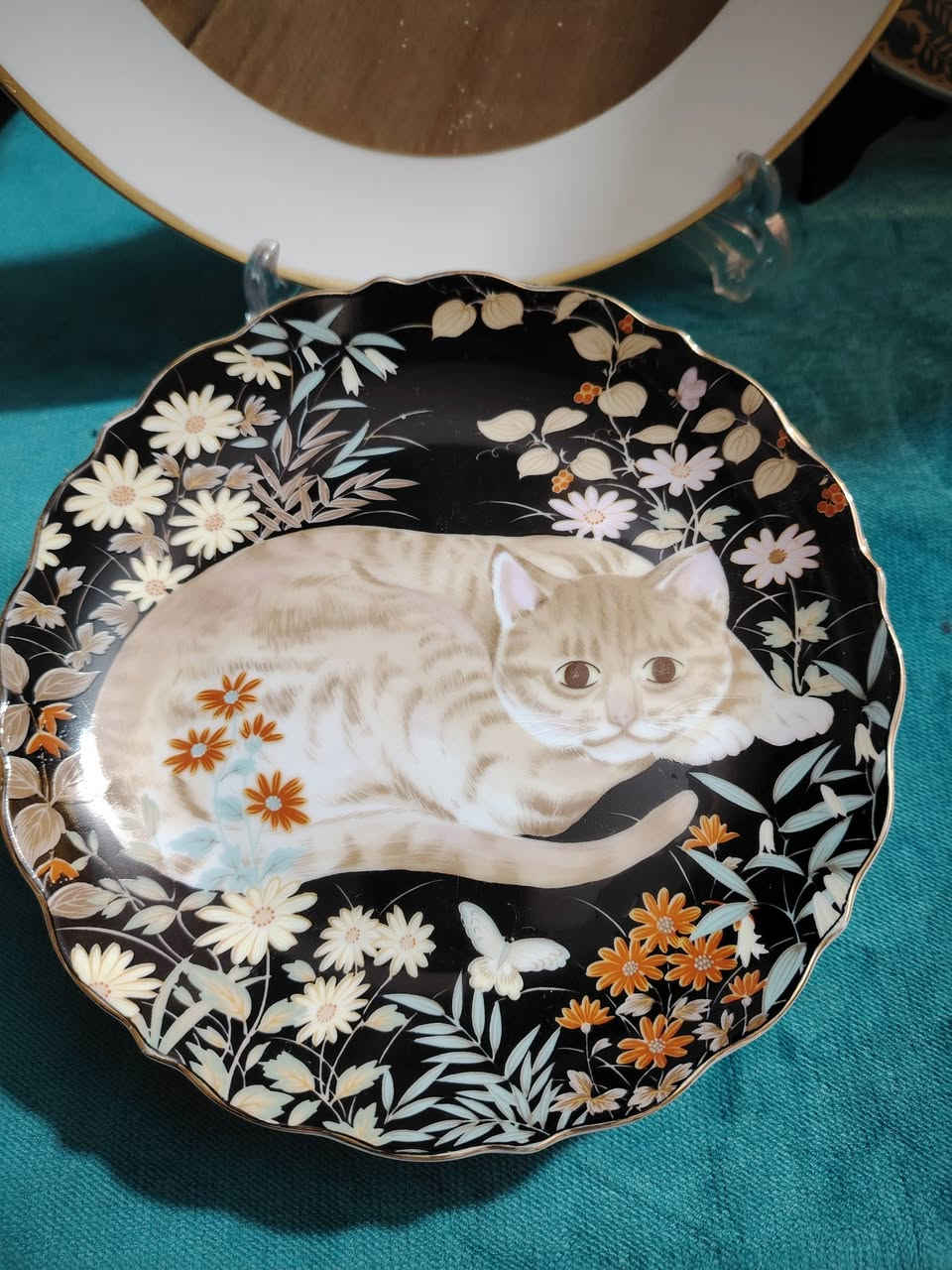 نسأل الله أن تكون ايام العراقيين خير وبركه وسعاده اللهم احفظ العراق شعبا وارضا وسماء توصيل لكل المحافظات لباب البيت تابع الصفحه ليصلك كل ماهو جديد اسعارنا غير وغايتنا ارضاء الزبون تواصل ماسنجر واتساب *********** اهلا وسهلا
