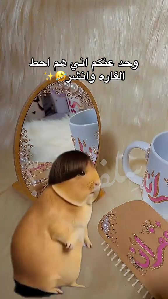 تدورين على هديه نجاح فخمة وحلوة وبنفس الوقت مناسبة 😍😍😍
وصلتي بكجات  نجاح وكل المناسبات
والأسعار خيالية

 توصيل داخل المحمودية الفين وباقي المحافضات ٥الاف


**إذا كنت صاحب هذا الإعلان وتريد حذفه لأي سبب، رجاءا أرسل رسالة إلى الدعم الفني**
