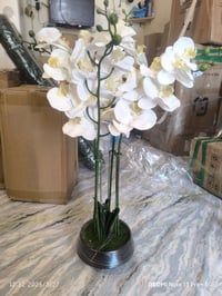 أوركيد صناعي • لون شكري • ارتفاع ٧٥سم