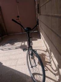 باسكل • مقاس ٢٦ • سعر خاص