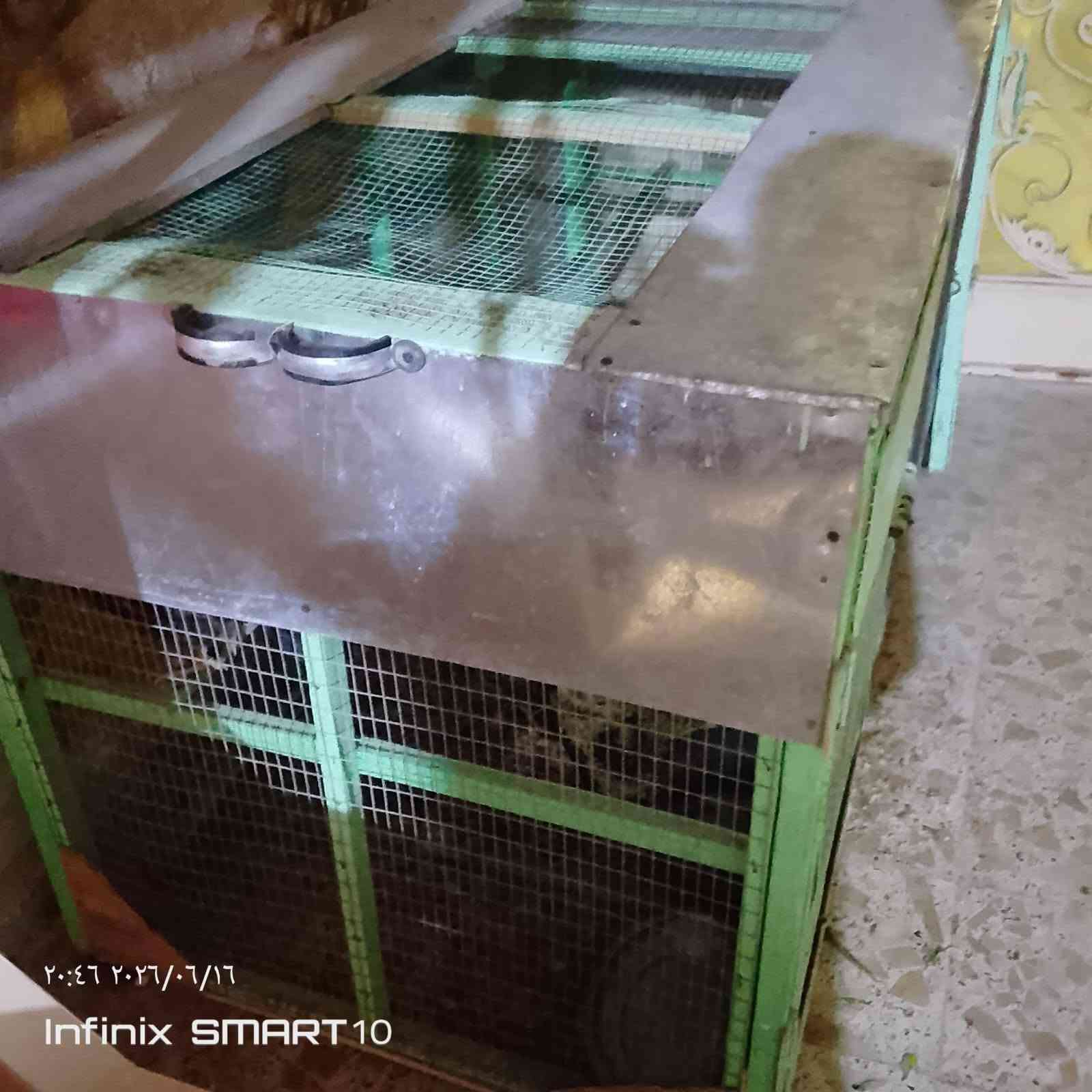 مكلف في النشر
السعر 95الف 
قياس 2x120


**إذا كنت صاحب هذا الإعلان وتريد حذفه لأي سبب، رجاءا أرسل رسالة إلى الدعم الفني**