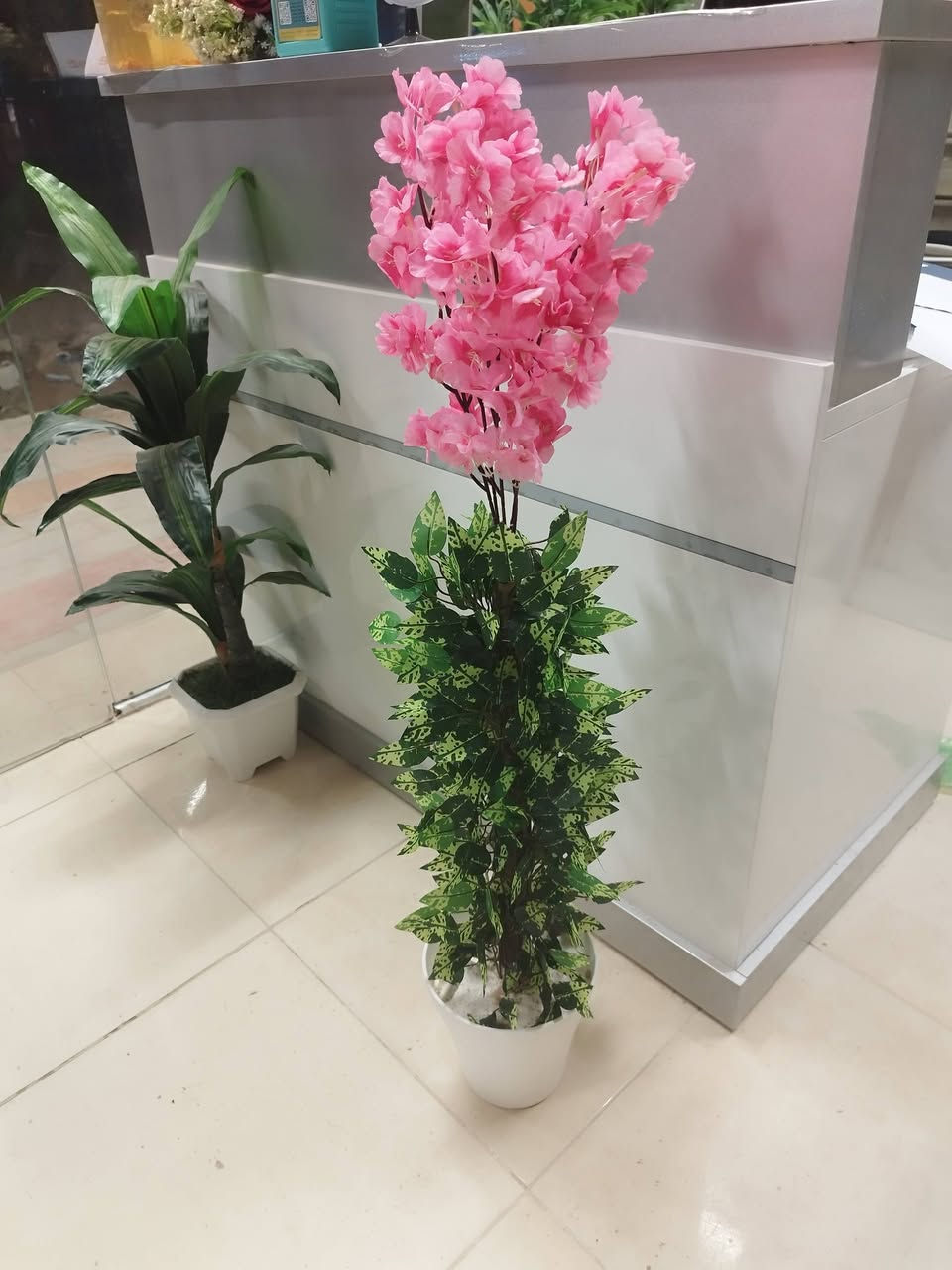 ارتفاع ١مترسعر ١٠ يتوفرجميع الالوان والقياسات والاشكال
يوجد جملة واسعار خاصة إلى أهالي البيجات


**إذا كنت صاحب هذا الإعلان وتريد حذفه لأي سبب، رجاءا أرسل رسالة إلى الدعم الفني**