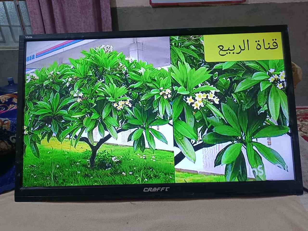 شاشه بدون نت اصليه اسمها كرافت حجمها 32 ثلاث منافذ اج دي ودقتها فول صوره واضحه جدا وصوت محيطي عالي
السعر 85 العنوان كوفه النجف, العراق


**إذا كنت صاحب هذا الإعلان وتريد حذفه لأي سبب، رجاءا أرسل رسالة إلى الدعم الفني**