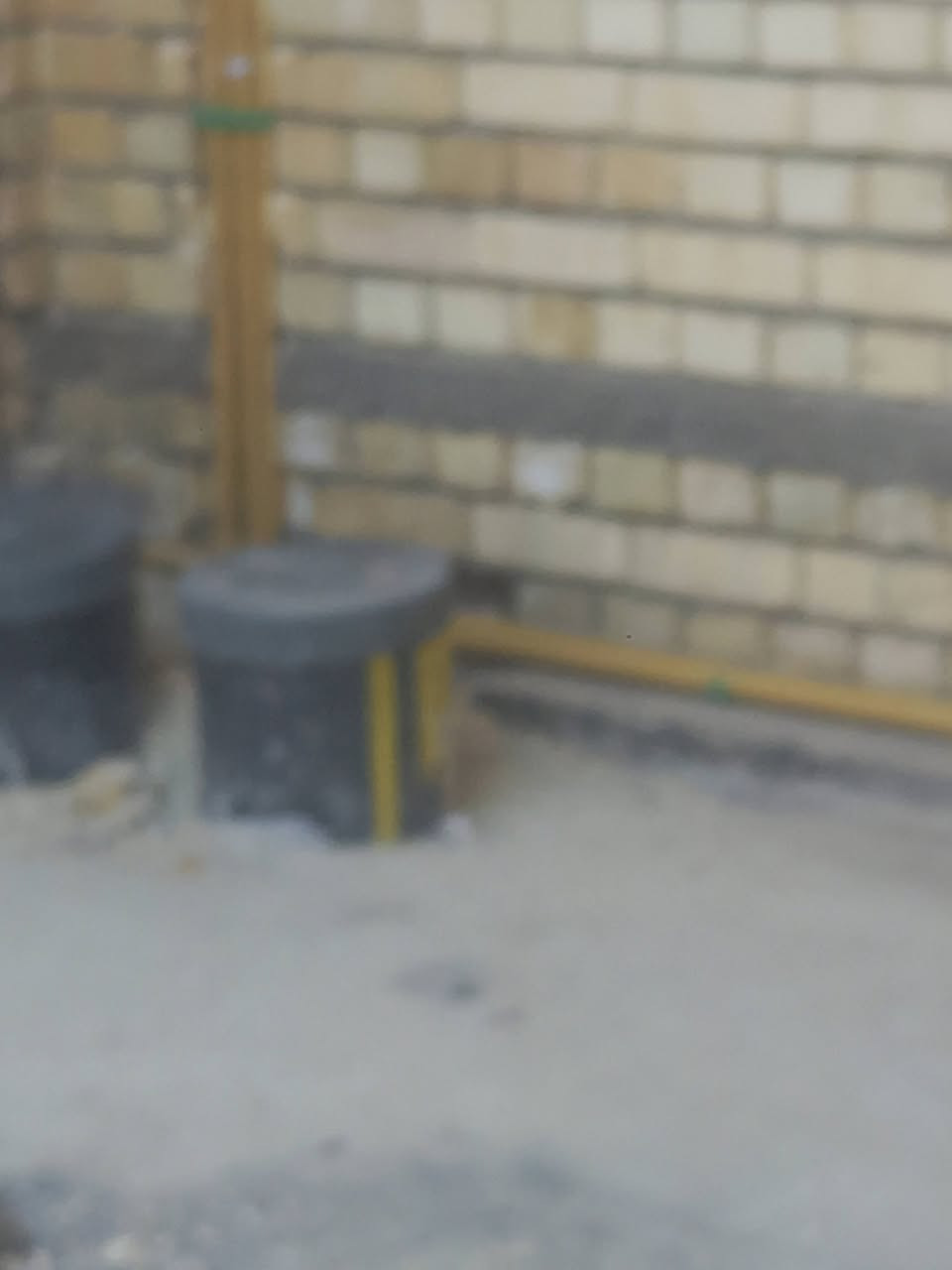 خلفه تسيس مي ومجاري متفرغ حالين


**إذا كنت صاحب هذا الإعلان وتريد حذفه لأي سبب، رجاءا أرسل رسالة إلى الدعم الفني**