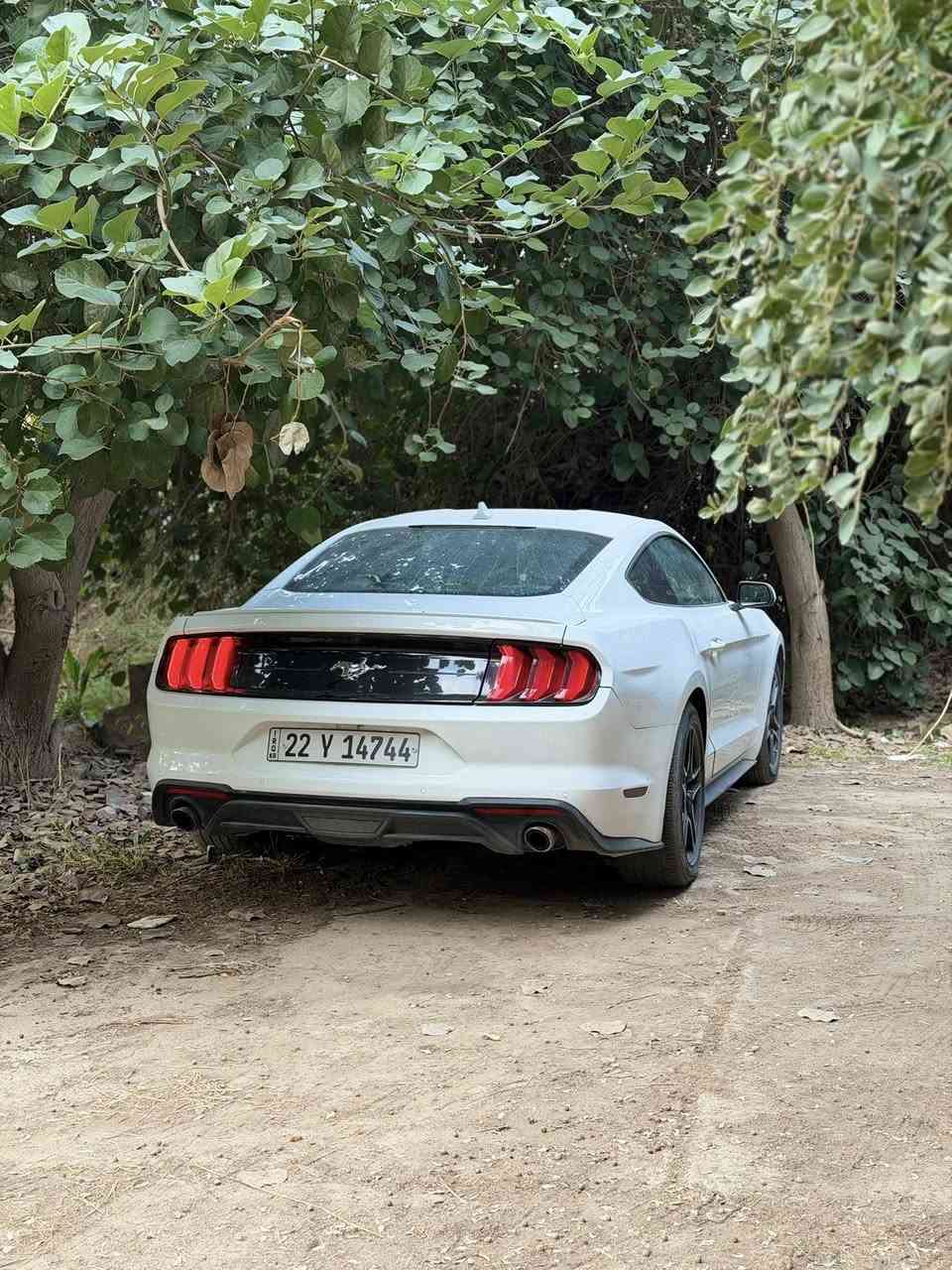 السلام عليكم
موستنك ايكو بوست 2023 
ماشيه ٢٢ الف بعدها جديده السياره
فول 1/1 بريميوم 
لون ابيض
كشنات جلد اسود
كشنات كهرباء
كشنات تبريد وتدفئه
شاشه كبيره ونظام كاربلي واندرويد اوتو 
خمس مودات قياده ( نورمال-سبورت بلس-تراك-دراك-سنو اند ويت )
٣ مودات ستيرن ( نورمال-سبورت-كومفورت )
دشبول ٧ الوان
كير ١٠ نمر
حساسات خلفيه
تشغيل عن بعد
مثبت سرعه 
رادار امامي 
رادارات جانبيه ونقطه عمياء
مكينه كير كفاله
رقم اربيل تحويل
مكان السياره بغداد
هذا رقم الشاصي
1FA6P8TH3P5104524
والسونار موجود
السعر ١٧٣ وبيها مجال
للتواصل 
واتساب ***********
اتصال ***********
