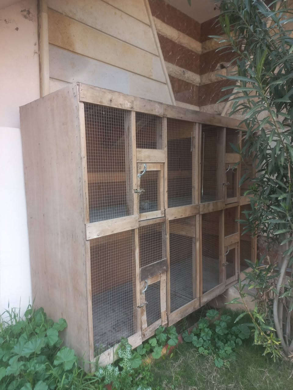 قفص للبيع 
نضافت القفس 100 بالـ100 
يصلح للدجاج + للطيور + وللصواصي 
القياس الطول ثلاث امتار
الارتفاع  متر   او   ٩٠
العرض  ٧٥  سانتي متر 
يصير اربع خانات وتكبرو يصير خانتين 
سعر 95 الف وبي مجال


**إذا كنت صاحب هذا الإعلان وتريد حذفه لأي سبب، رجاءا أرسل رسالة إلى الدعم الفني**