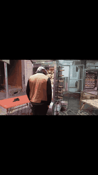 اللهم صلي على محمد والي محمد 

تم افتيتاح شواي دجاج ثانيه بخان دجاج العبيدي 
مستعدون الكافت المناسبات وبسعار تنافسيه
سعر الدجاج 10
سعر الدجاج ونص 14
سعر الدجاجتين 18
ملاحضه دجاجنه ذبح ولايسه مجمد

العنوان مقابل مدينت العاب دزني لاند
يوجد لدينه توصيل مجاني داخل الحمزه فقط
رقم الحجز ***********
