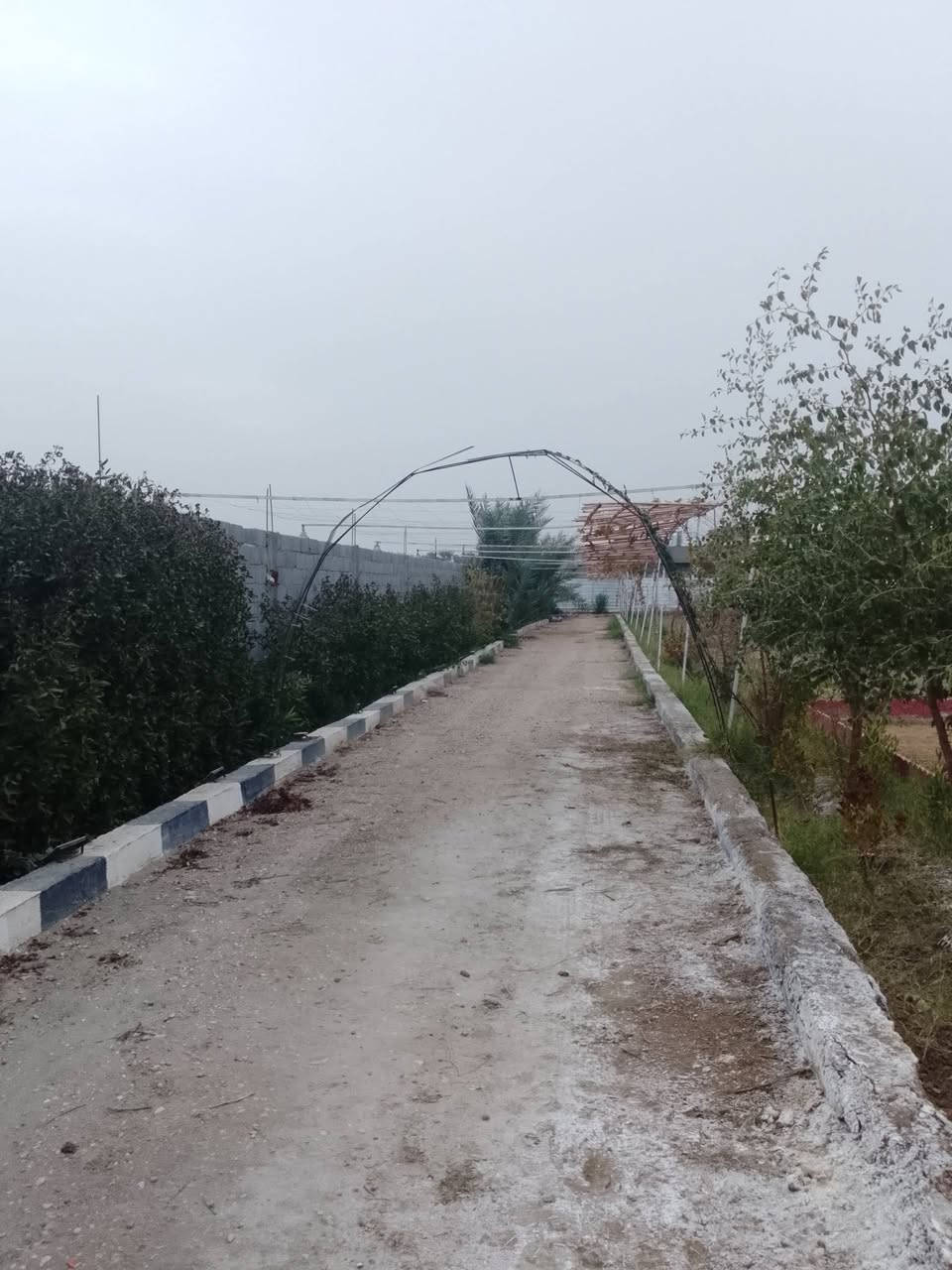 سلام عليكم ✨🚩للبيع دونم بيع مستعجل ✨🚩 
مزرعه طابو زراعي سند 25✨🚩
كل الخدمات متوفره بيها ✨🚩
وتحتوي على غرفتين وصاله وصحيات ومسبح وحديقه اماميه وحديقه خلفيه مزروعه رمان وعنب انواع الاشجار بيها✨🚩
مساحه دونم الوجه 25متر ✨🚩
والنزال 100متر مسيجه كلها ✨🚩
العنوان المسيب منطقه ابو عصافير ✨🚩
باقي تفاصيل اتصل او راسلني✨🚩
‏‪***********‬‏
