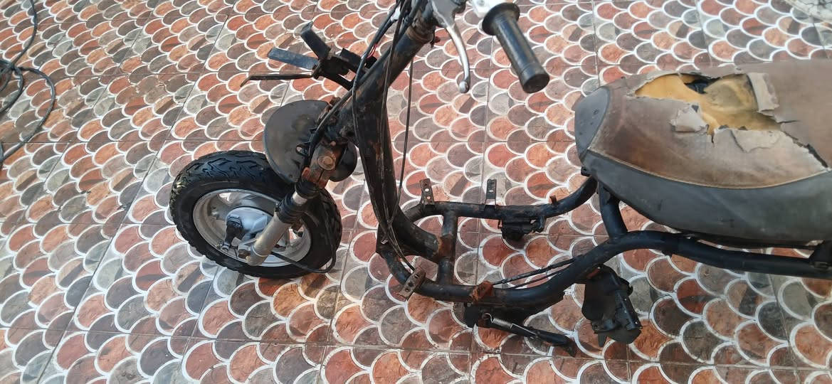 للبيع شاصي دراجه فراشة كامل مثل ما موضح بالصور قيم بما يرضي الله وتعال اخذه 
مكاني بابل الحمزة الغربي 
***********
