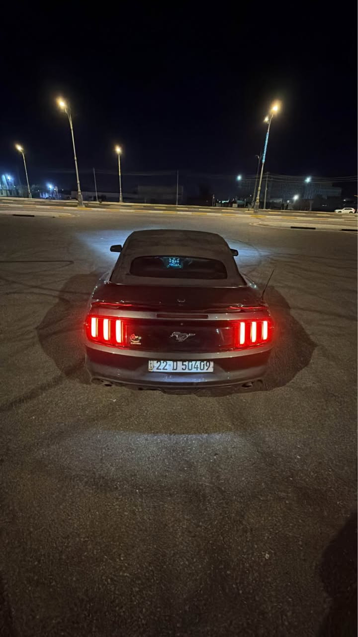 موستنغ ايكو بوست كشف  موديل ١٦ محدثه كت شيلبي  كامل لحية هم 
بريميوم دشبول ديجتل سبع الوان متغير كشنات تدفئه تبريد خزن ميموري اي مشاكل مابيه ومسويله ادامه وبدلن دهن قبل اسبوع ادنول
الاضافات ⭕️
سبويلر تراك بكج
داخل فول كاربون فايبر 
قبضه رياضي
انارة داخلية تفاعليه 
لحية شيلبي 
شفتات سترين حديد
الحادث⭕️
ضربته خارج العراق بالسونار
وداخل العراق بالصور 
مراوس ويه جالنجر او موستنغ قمارة
رقمه اربيل تريد وكالة تريد تحويل كربلاء, العراق


**إذا كنت صاحب هذا الإعلان وتريد حذفه لأي سبب، رجاءا أرسل رسالة إلى الدعم الفني**