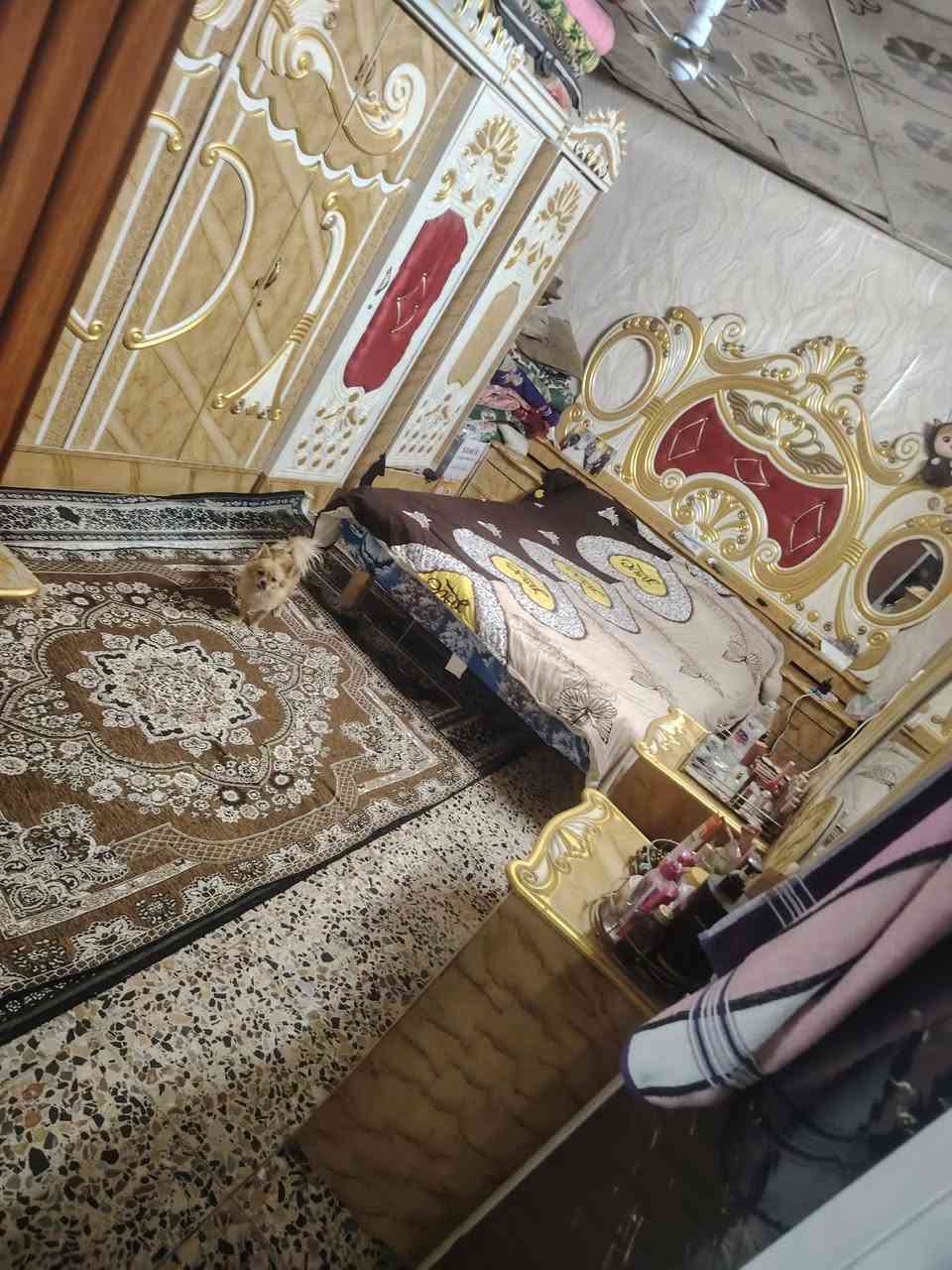 سلام عليكم بيت مساحه 80 متر تجاوز العنوان بغداد الأمين ثانيه بشارع المكاتب يم مخبز الساعدي يتكون غرفه النوم وصاله جبيره ومطبخ خارجي وحمام خارجي وحوش ومخزن علا طول البيت السعر 20وبي مجال انتصال علا رقم ***********
