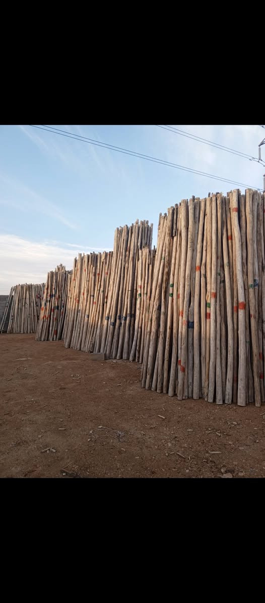 للبيع تكم بابل 5000 تكم ***********
