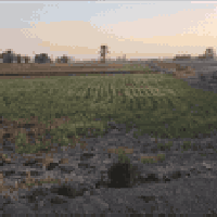 ٥دنم • طابو زراعي • واجهة ٥٠م