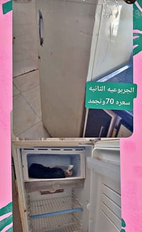 ثلاجة • ثلاجات • براد • برادات • ثلاجة للبيع • اجهزة منزلية • تبريد • ...