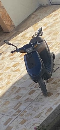 بطة • سلف • هندر