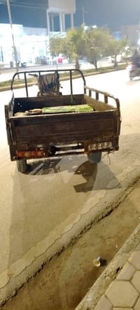 ستوته دايون • موديل 2011 • أوراق أصلية