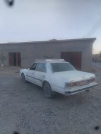 ١٩٨٢ • بدون تحويل • رقم صلاح الدين