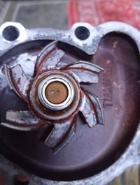 واتربم مال حاويه تفصيخ مال فتون جنبي اجوان اصلي شركة إذا مو اصلي لا تأ...