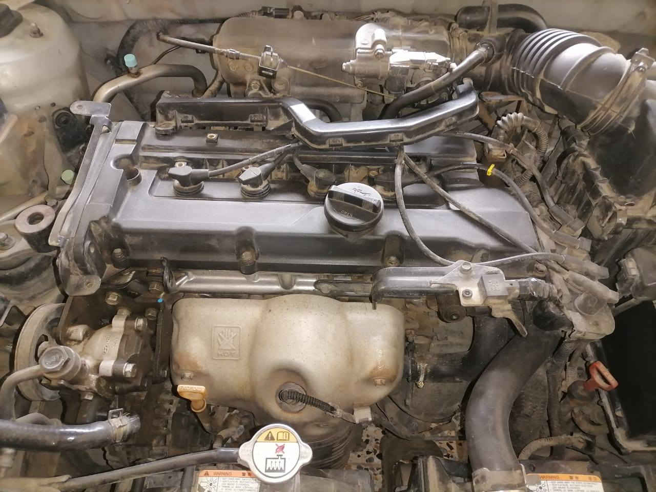 سلام عليكم كيه ريو موديل ٢٠٠٩ خليجي ١٦٠٠ كير مكينه خير من تبريد ثلج داخله كلش جدي كفاله عده بنيد مرشوش أثر طابوكه صفاحها موس سونر منشور شوف وخابرني وتدلل مكاني بغداد الدوره ناحيه الرشيد *********** واتساب سعرها ***********   سعرها ٨٢ وبيها مجال
