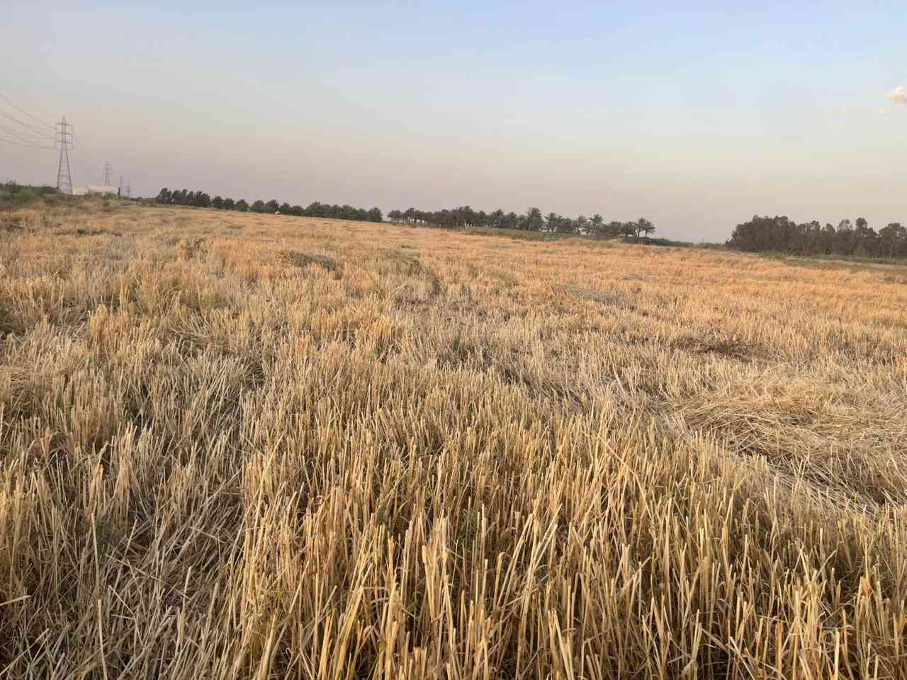 📢 عرض اليوم المميز 📢

قطعة أرض للبيع للبيع 🌿🏡

📍 الموقع: الرمادي - ناحية اليرموك
مقابيل مدرسة الخوارزمي الأهلية

📐 المساحة: ٦ دونم
📄 الجنس: طابو زراعي سند ٢٥ تحويل مباشر

✅ الأرض صالحة للزراعة
✅ تصلح للسكن والاستقرار
✅ مناسبة لأي مشروع استثماري
✅ قريبة من جميع الخدمات
✅ منطقة أمانة وهادئة ومريحة للسكن
✅ سهولة البيع، تباع كاملة أو حسب الطلب

إذا تبحث عن الراحة النفسية والأمان ومستقبل مضمون فهذا العرض يفيدك 👍

📞 مكتب العسافي للخدمات العقارية
📍 الرمادي - ناحية اليرموك قرب بناية الناحية الفرع الأول

☎️ *********** واتساب
☎️ *********** واتساب

#العسافي_للخدمات_العقارية
#عقارات
#الرمادي
#الأنبار
#ناحية_اليرموك
#اراضي_للبيع
#ارض_للبيع
#طابو_زراعي
#سند25
#تحويل_مباشر
#استثمار
#اراضي_الرمادي
#عقارات_الأنبار
#مشاريع_استثمارية
#الزراعة
#سكن
#استقرار
#بيع_وشراء
#عروض_عقارية
#مكتب_العسافي
#اليرموك
#اراضي_زراعية
#عقار
#بيت_احلامك
#فرصة_استثمار
#عروض_اليوم
