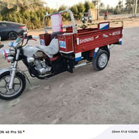 ستوته • موديل 15 • أوراق اصولي