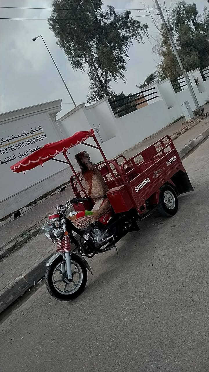 سلام عليكم شباب عندي ستوته للبيع سريع  الي يفيده خلي يتواصل ويايه موديل ١٦رقم هاتف ***********
