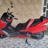 فورزا • نظيفه • شغاله