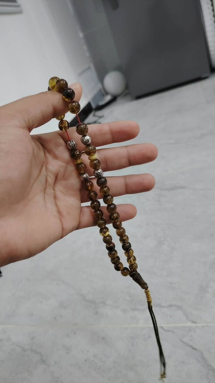 كهرب طحلبي


**إذا كنت صاحب هذا الإعلان وتريد حذفه لأي سبب، رجاءا أرسل رسالة إلى الدعم الفني**