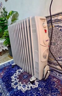 صوبه زيتية • سايمكس • ١٣ ريشه