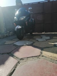 ورده للبيع 0 9 سعر خاص رقم الهاتف ٠٧٨٣٣٥١٢٠٢٩