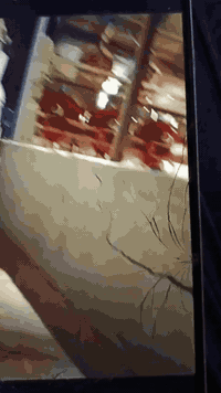 كركوك • أرض دونمين • تصفية 30 طن/ساعة