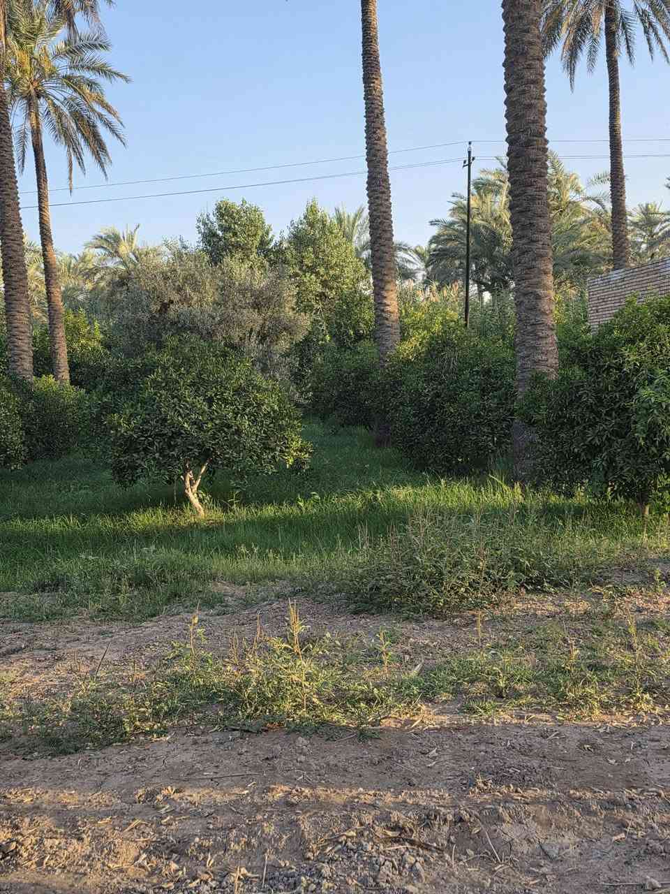 السلام عليكم ورحمة الله وبركاته🫱🏽‍🫲🏻قطعة أرض للبيع🏞
 المساحة 800متر الواجهة 20نزال 43يتوفر فيها ماء ⛲وكهرباء 💡وكافة الخدمات ‼️
موقع مميز جداً 🌷
العنوان: بغداد/التاجي/شيخ حمد/قرب مزرعه العصفور 🏝
للاستفسار الاتصال على الارقام الاتيه 
كورك: ***********📞
اسيا: ***********📞
#مَكتب_ديرتنا_للعقار🏢
#بإدارة_أحمد_أبومصطفى 🌷
