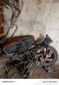 شاصي تايموته • مديل 15 • اوراق اصولي