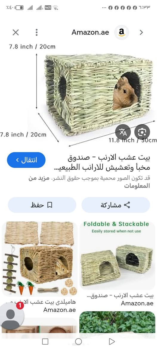 منام حيوانات اول ٥


**إذا كنت صاحب هذا الإعلان وتريد حذفه لأي سبب، رجاءا أرسل رسالة إلى الدعم الفني**