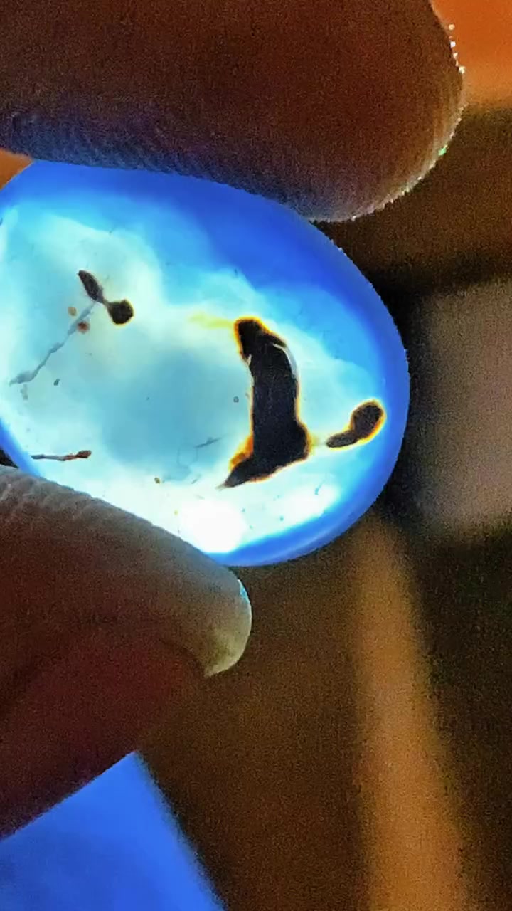 السلام عليكم عندي حجار عقيق يماني مزهر ومصور تصويرهم واضح  56 قطعه  لي يريدهن جمله حسب القطعه عل 3 الف دينار


**إذا كنت صاحب هذا الإعلان وتريد حذفه لأي سبب، رجاءا أرسل رسالة إلى الدعم الفني**