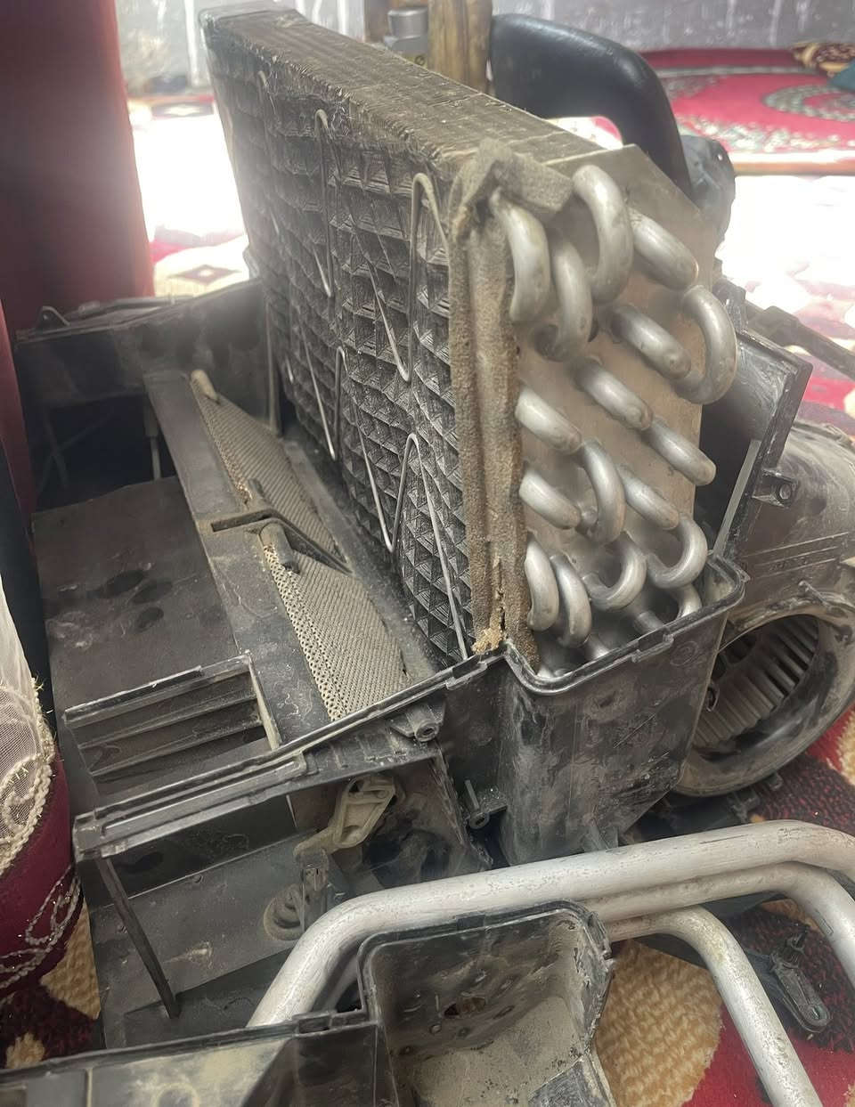 متوفر
غراض تبريد


**إذا كنت صاحب هذا الإعلان وتريد حذفه لأي سبب، رجاءا أرسل رسالة إلى الدعم الفني**